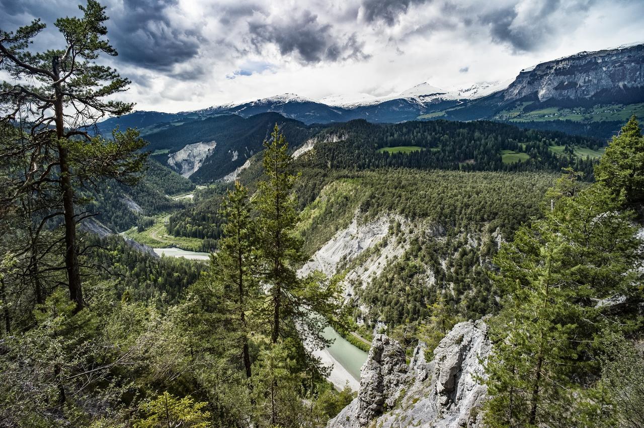 Soldanella by Hotel Adula Flims Dış mekan fotoğraf